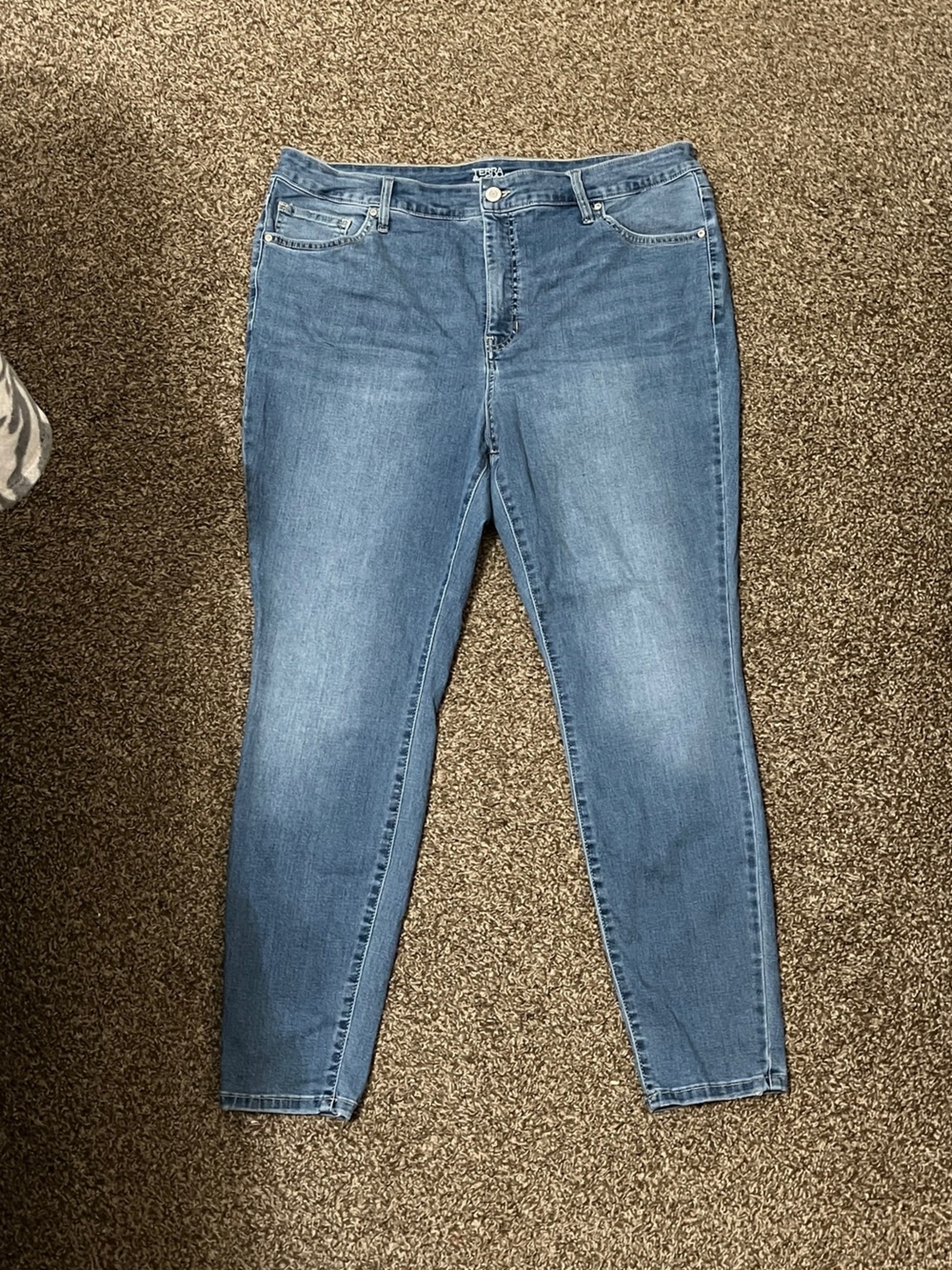 Terra & Sky Skinny Jeans
